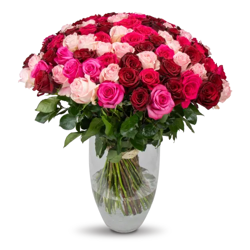 kytice ekvádorských růží 80 cm